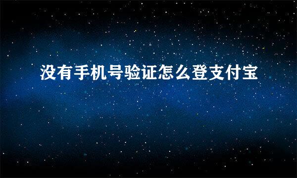 没有手机号验证怎么登支付宝