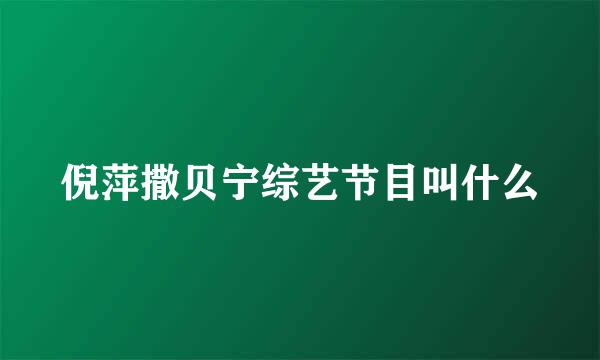 倪萍撒贝宁综艺节目叫什么