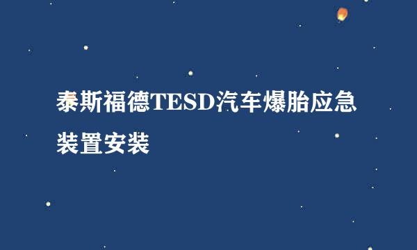 泰斯福德TESD汽车爆胎应急装置安装
