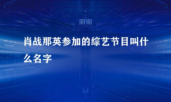 肖战那英参加的综艺节目叫什么名字