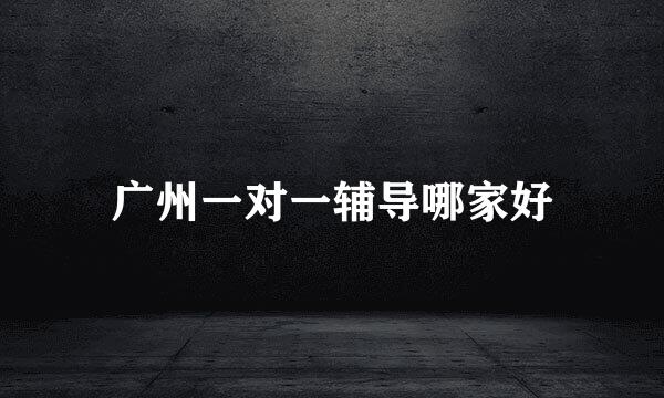 广州一对一辅导哪家好
