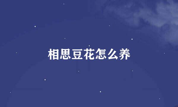 相思豆花怎么养