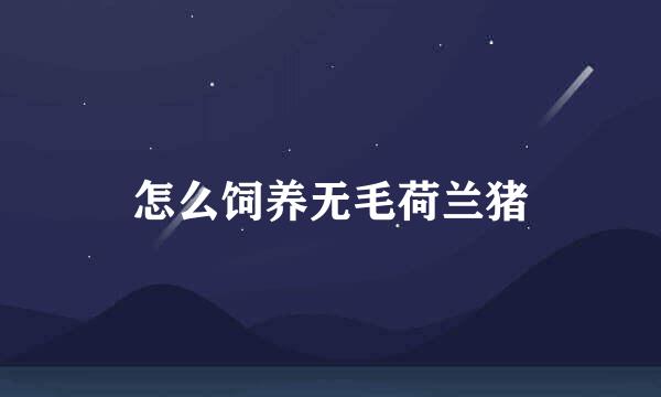 怎么饲养无毛荷兰猪