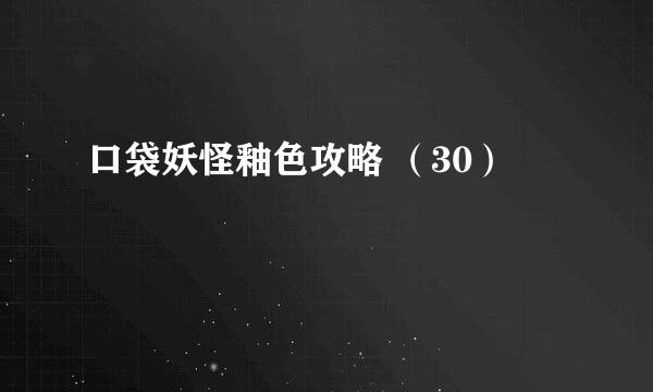 口袋妖怪釉色攻略 （30）