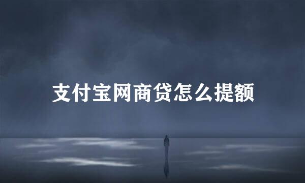支付宝网商贷怎么提额