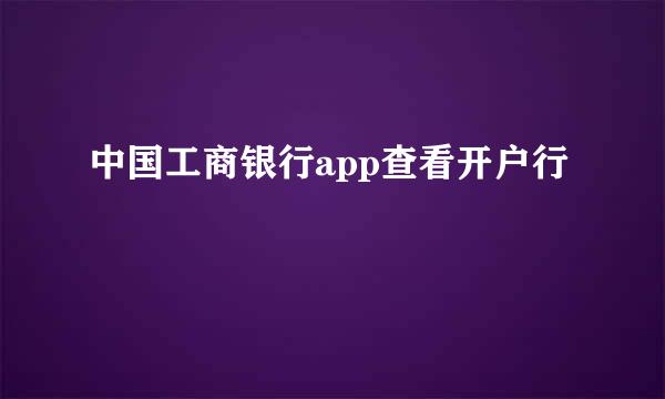 中国工商银行app查看开户行