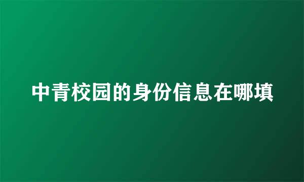 中青校园的身份信息在哪填