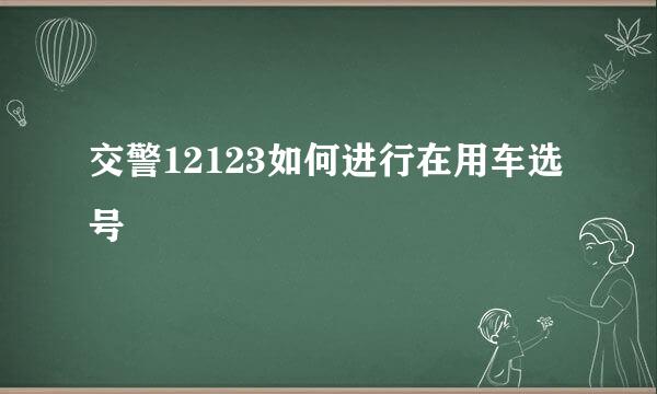 交警12123如何进行在用车选号
