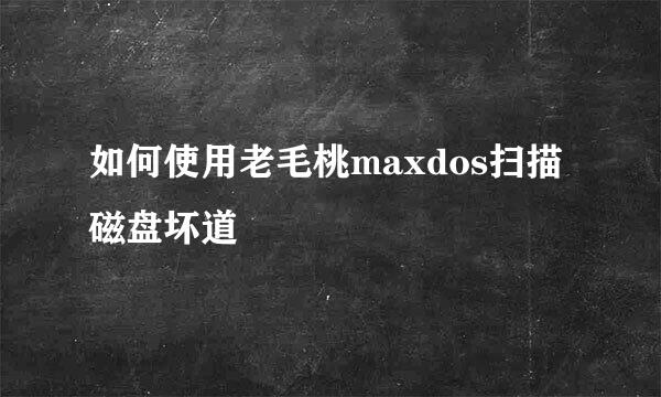 如何使用老毛桃maxdos扫描磁盘坏道