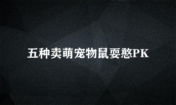 五种卖萌宠物鼠耍憨PK