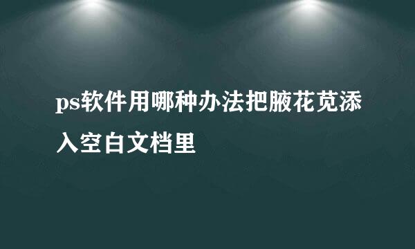 ps软件用哪种办法把腋花苋添入空白文档里