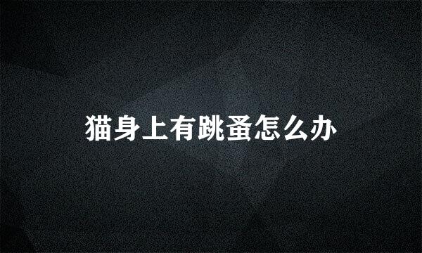 猫身上有跳蚤怎么办