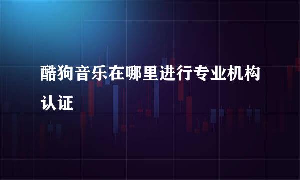 酷狗音乐在哪里进行专业机构认证