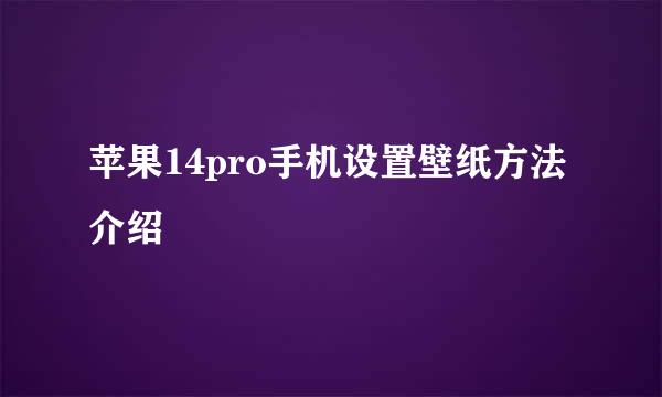 苹果14pro手机设置壁纸方法介绍