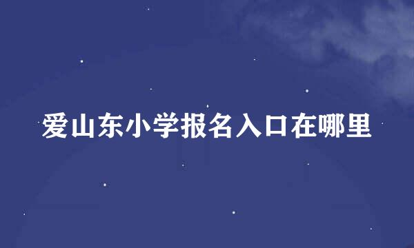 爱山东小学报名入口在哪里