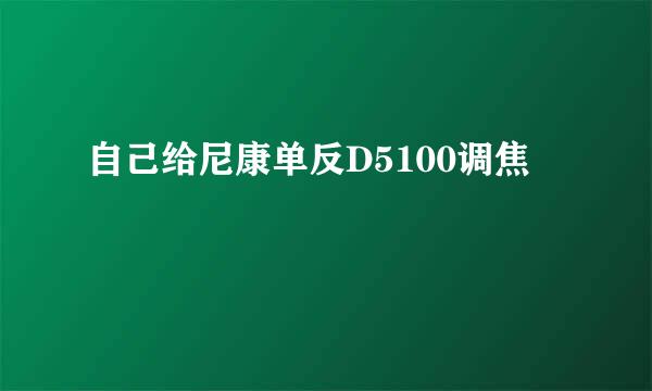 自己给尼康单反D5100调焦