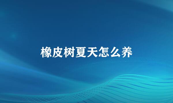 橡皮树夏天怎么养