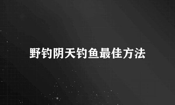 野钓阴天钓鱼最佳方法