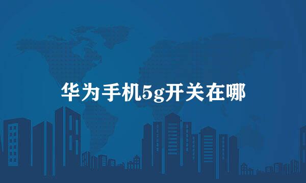 华为手机5g开关在哪
