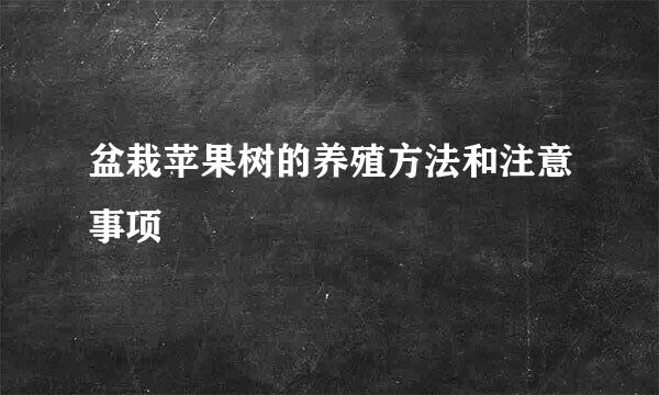 盆栽苹果树的养殖方法和注意事项