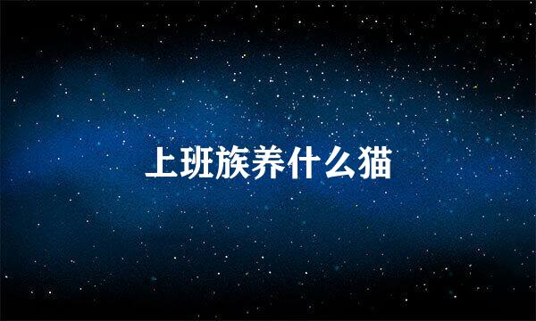上班族养什么猫