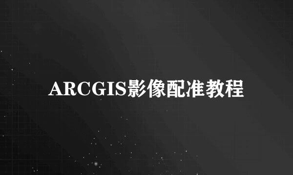 ARCGIS影像配准教程