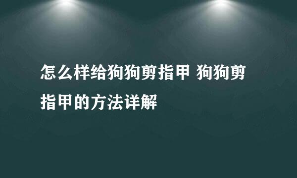 怎么样给狗狗剪指甲 狗狗剪指甲的方法详解