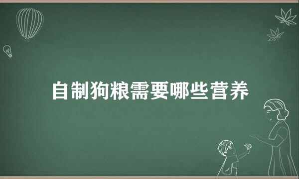 自制狗粮需要哪些营养