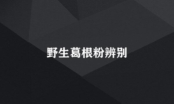 野生葛根粉辨别