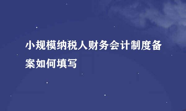 小规模纳税人财务会计制度备案如何填写