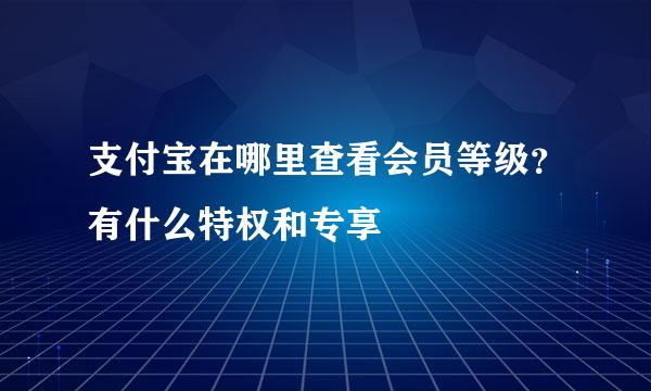 支付宝在哪里查看会员等级？有什么特权和专享