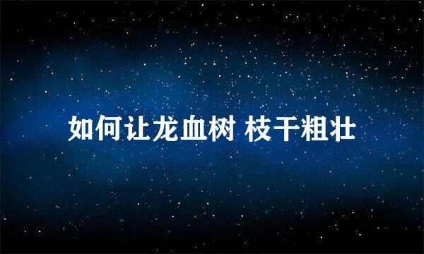 如何让龙血树 枝干粗壮