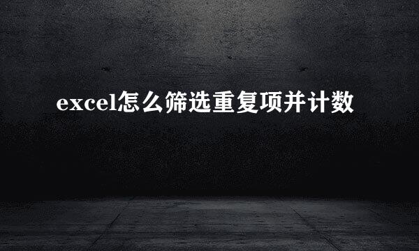 excel怎么筛选重复项并计数