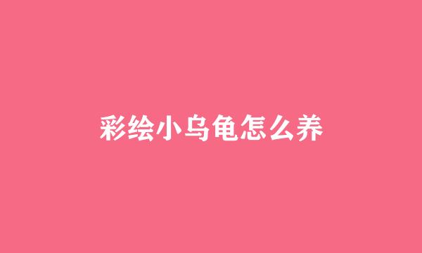 彩绘小乌龟怎么养