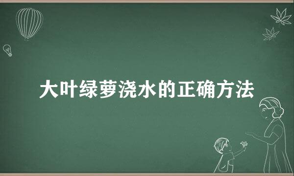 大叶绿萝浇水的正确方法