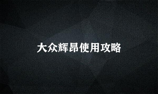 大众辉昂使用攻略