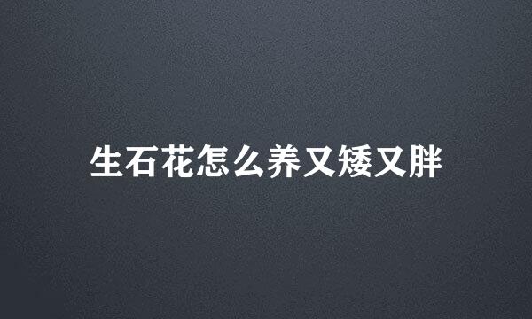 生石花怎么养又矮又胖