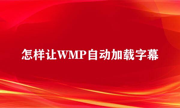 怎样让WMP自动加载字幕