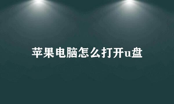 苹果电脑怎么打开u盘