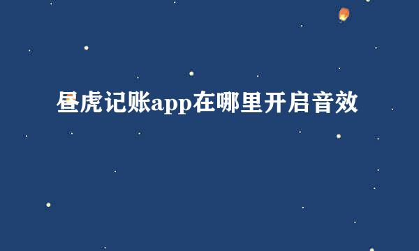 昼虎记账app在哪里开启音效