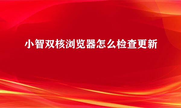 小智双核浏览器怎么检查更新