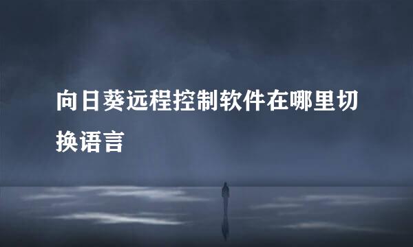 向日葵远程控制软件在哪里切换语言