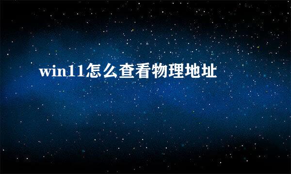 win11怎么查看物理地址