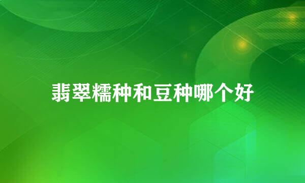 翡翠糯种和豆种哪个好