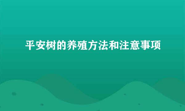 平安树的养殖方法和注意事项