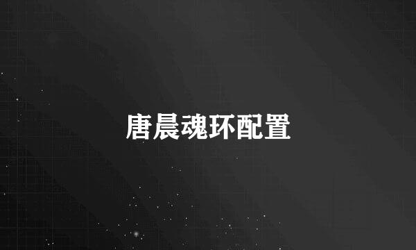 唐晨魂环配置