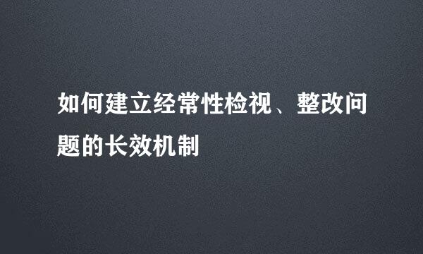 如何建立经常性检视、整改问题的长效机制