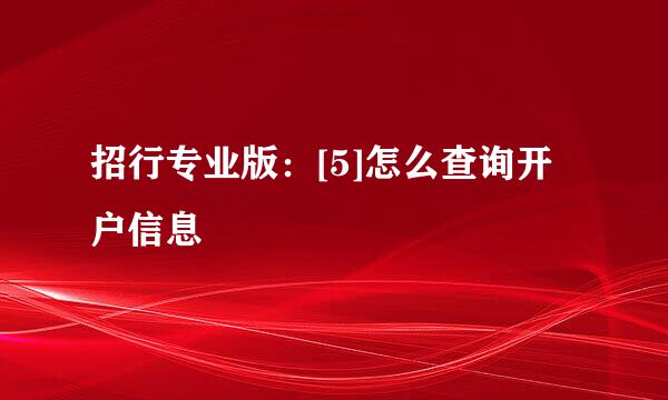 招行专业版：[5]怎么查询开户信息
