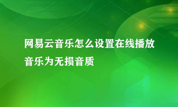 网易云音乐怎么设置在线播放音乐为无损音质