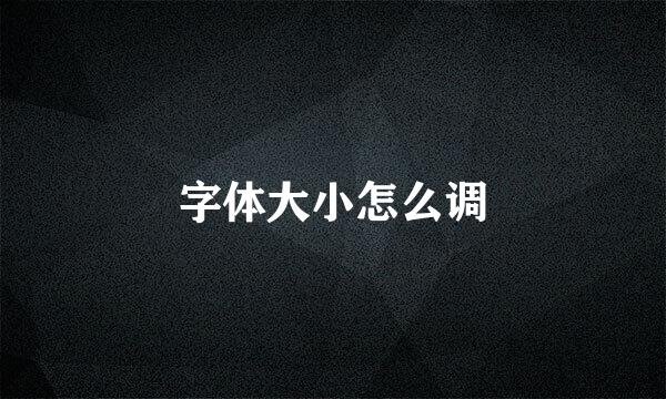 字体大小怎么调